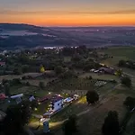 гардения Willa *
