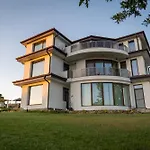 гардения Willa